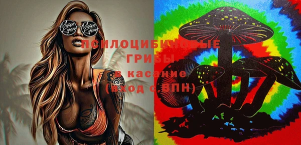дурь Медвежьегорск