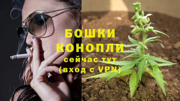 дурь Медвежьегорск