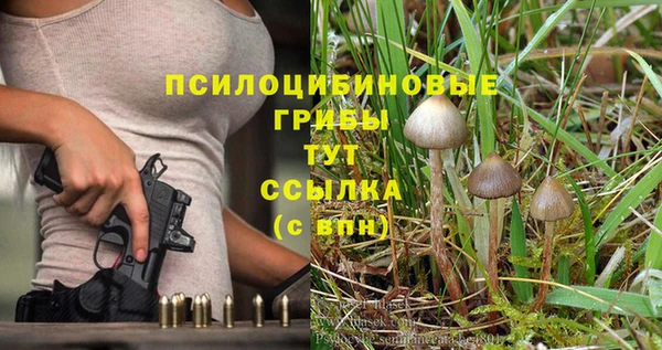 дурь Медвежьегорск