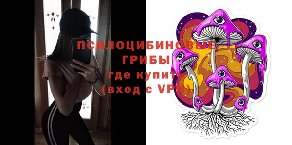 спайс Мегион